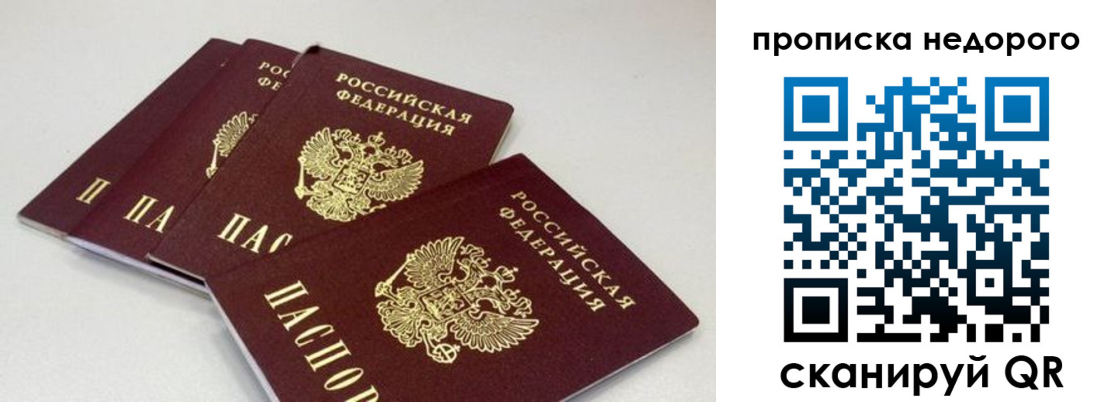 прописка штамп в Белгородской области